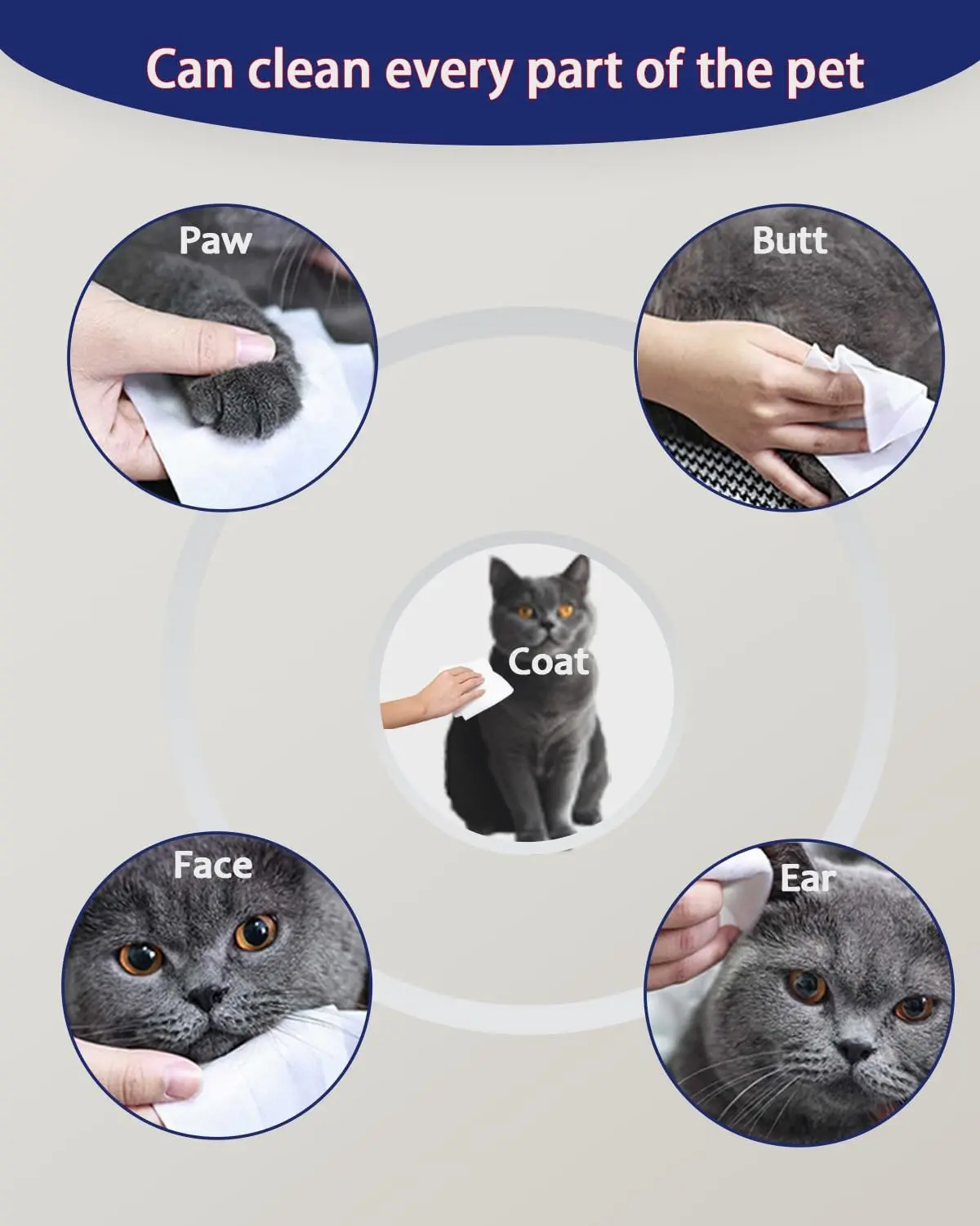 Pet Wipes for Dogs & Cats, Extra Moist & Thick  (10)