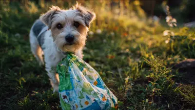 10 Eco-Friendly Pet Waste Bags That Make Clean-Up a Breeze While Helping the Planet