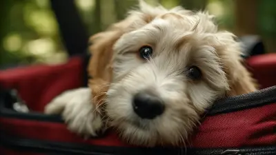 The Ultimate Guide to Choosing the Best Dog Pup Bags for Your Furry Friend